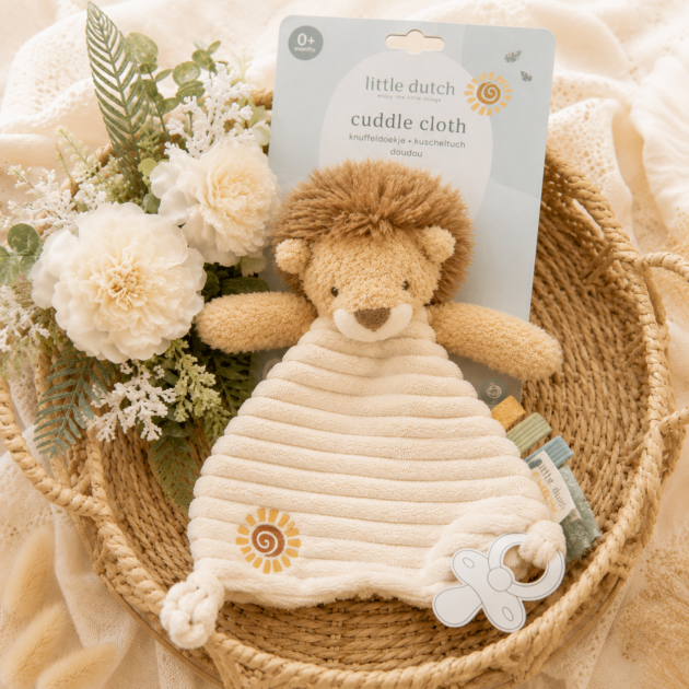Dudu’ leoncino | Little Dutch